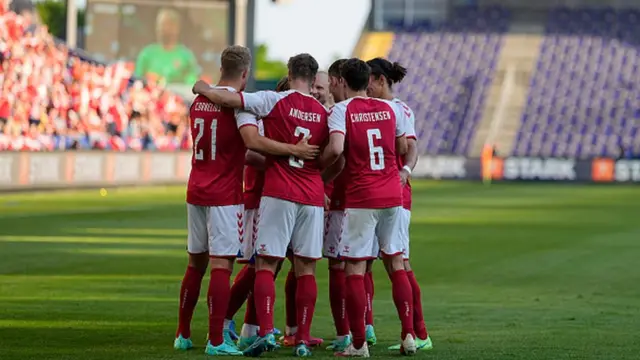 Сборная Дании во время товарищеского матча против Боснии и Герцеговины