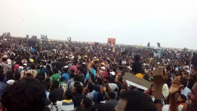 தமிழகமெங்கும் தொடரும் ஜல்லிக்கட்டு போராட்டம்