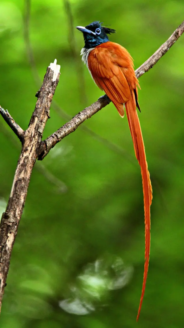 వరల్డ్ ఫొటోగ్రఫీ డే 