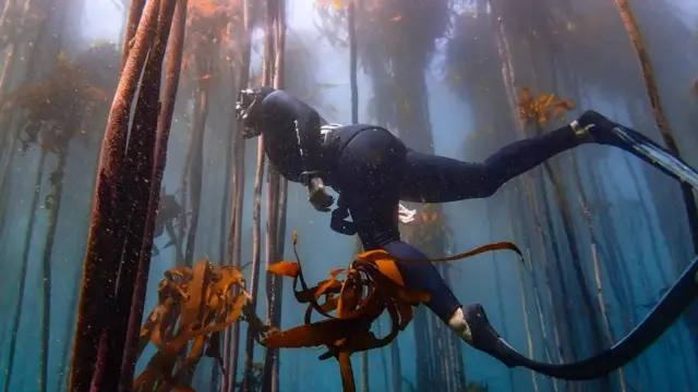 زیرِ آب مراقبہ