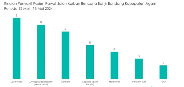 Rincian penyakit pasien rawat jalan bencana banjir bandang di Kabupaten Agam, Sumbar. 