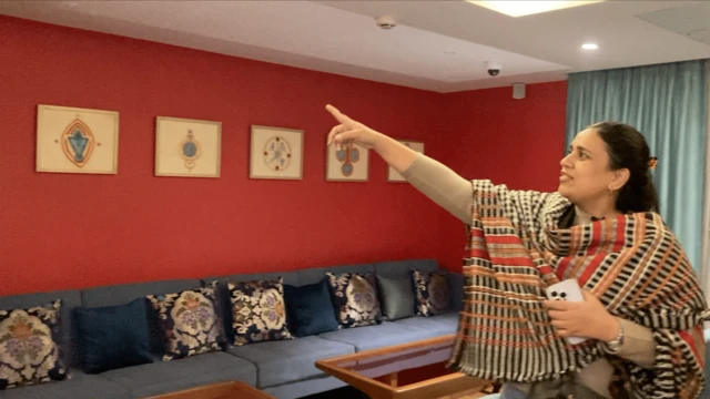 সৌদামিনী মাথুর