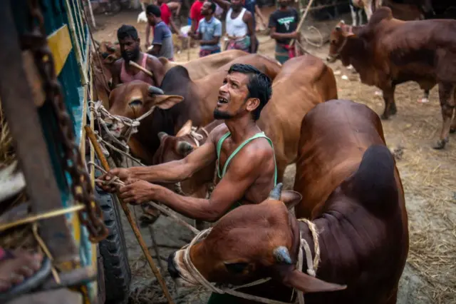 সরকার গরুর মাংস আমদানির সুযোগ বন্ধ রেখেছে