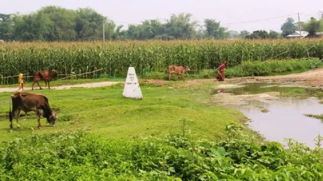 खेतीपाती