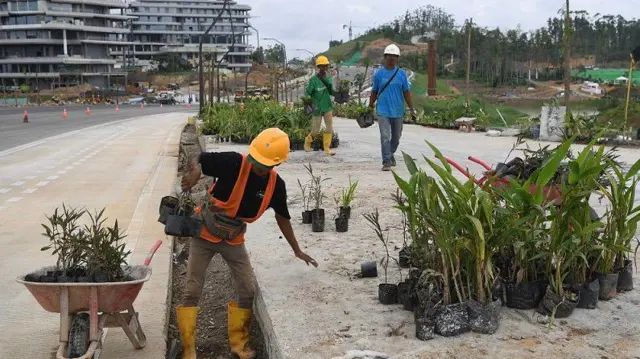 Pekerja bersiap menanam tanaman di jalur pedestrian di IKN, Penajam Paser Utara, Kalimantan Timur, Selasa (6/8/2024).