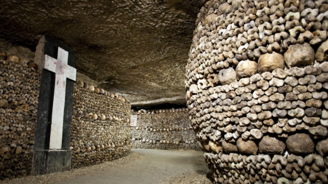 அருங்காட்சியகங்கள் பின்னால் இருக்கும் மோசமான வரலாறு