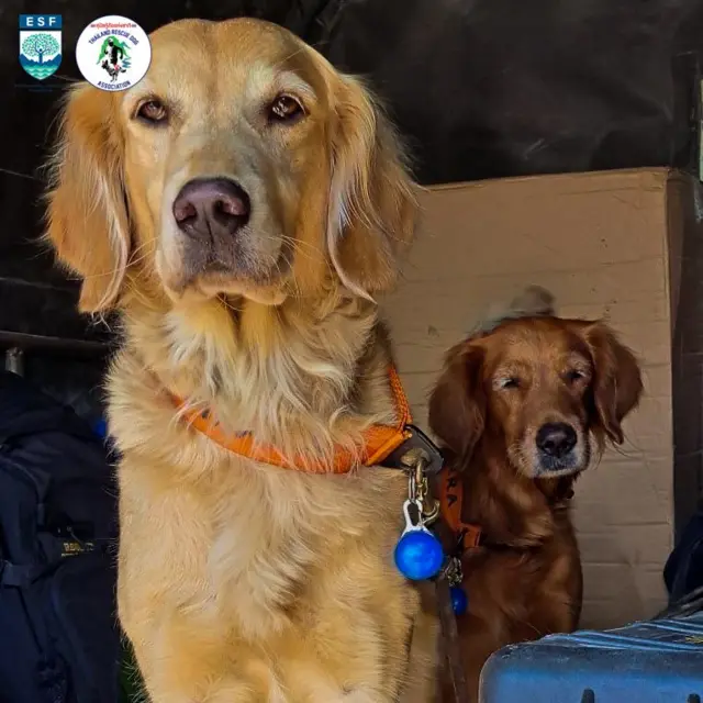 เจ้าเซียร่าและซาฮาร่า เตรียมตัวออกเดินทาง