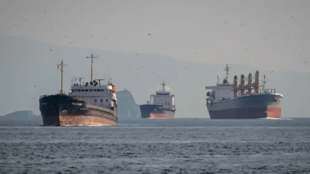 মারমার সাগরে অপেক্ষমান জাহাজ।