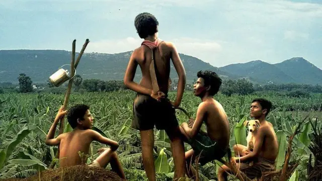 வாழை திரைப்படத்தின் போஸ்டர் 