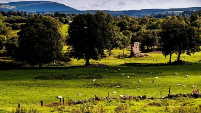 ख्रिसमस 