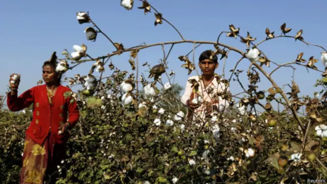 भारतीय किसान, सांकेतिक तस्वीर