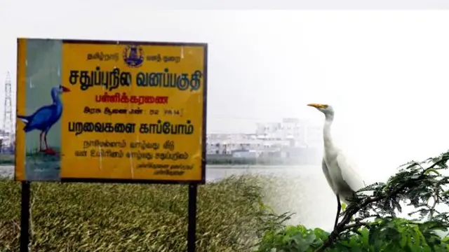 'பள்ளிக்கரணை சதுப்பு நிலத்தில் மத்திய அரசு நிறுவனங்கள் ஆக்கிரமிப்பு'