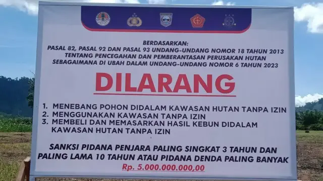 Salah satu plang yang dipasang di lahan kawasan hutan Air Bangis yang melarang warga menggunakan lahan atau mengambil hasil kebun sawit tanpa izin 
