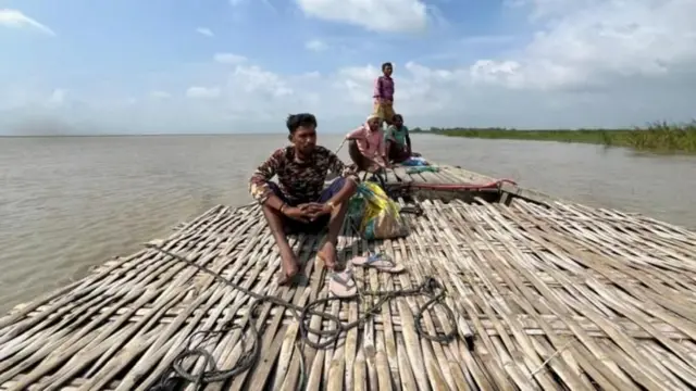 బిహార్, కోబ్రా, పాముకాటు