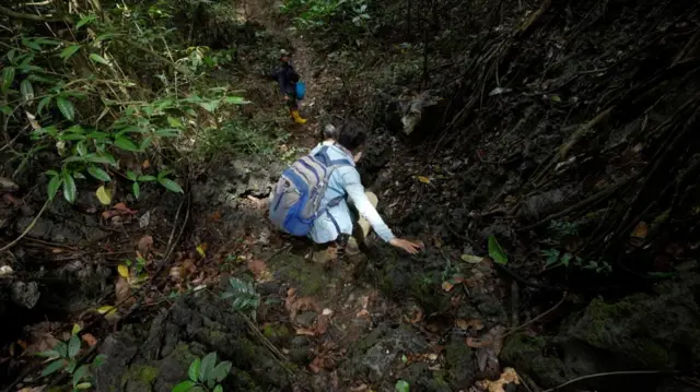 Para peneliti harus berjalan memutar naik dan turun tebing karst di Taman Nasional Bantimurung-Bulusaraung.