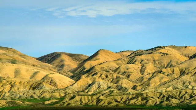 (圖片來源: Zack Frank)