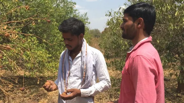 गोकुळचे दोन्ही भाऊ शेती करतात.