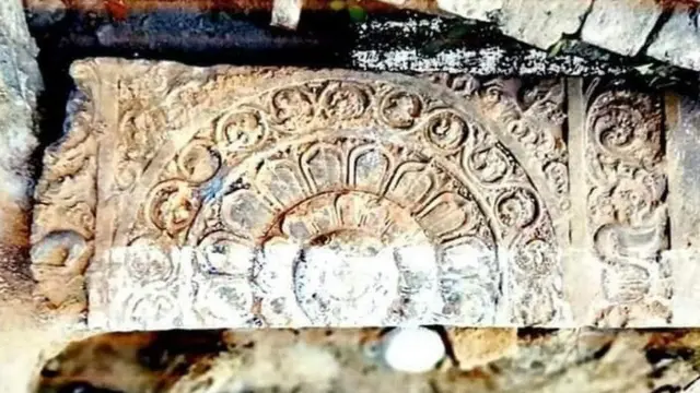 અવશેષની તસવીર