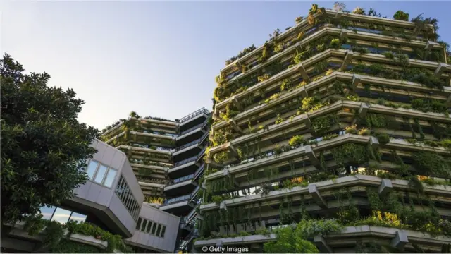 हरिलाई से कमाई, पेड़ लगाएं पैसे कमाएं