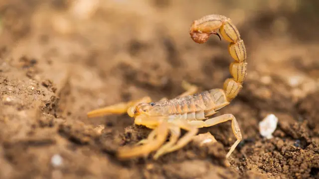 प्रातिनिधीक फोटो