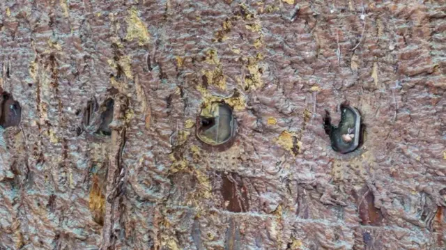 Kioo kwenye shimo kinaweza kuwa kilivunjika kilipopiga kwenye kilima cha barafu