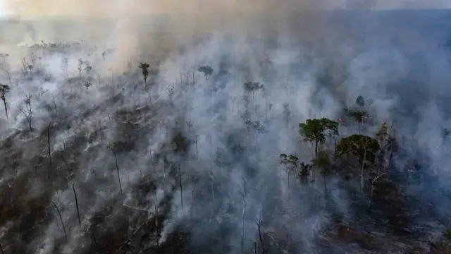 ఆగస్టు 23న బ్రెజిల్‌లో మాటో గ్రాసో రాష్ట్రంలో దహనమవుతున్న అమెజాన్ అడవులు