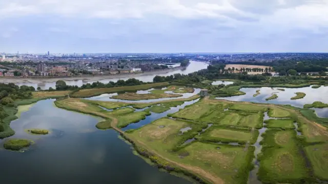 Učesnici programa plavih recepata odlaze na šetnje sa turističkim vodičem u Londonski močvarni centar - veliku urbanu močvaru