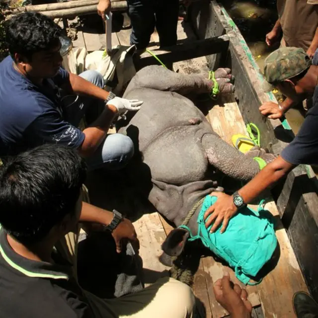 असम में बाढ़