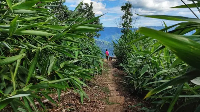 تُستخدم نغمة أطول لاستدعاء الأشخاص في الحقول، بينما تُستخدم نغمة أقصر في المنزل