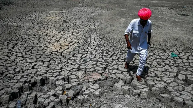 પ્રતીકાત્મક તસવીર