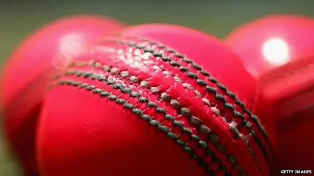 ක්‍රිකට්