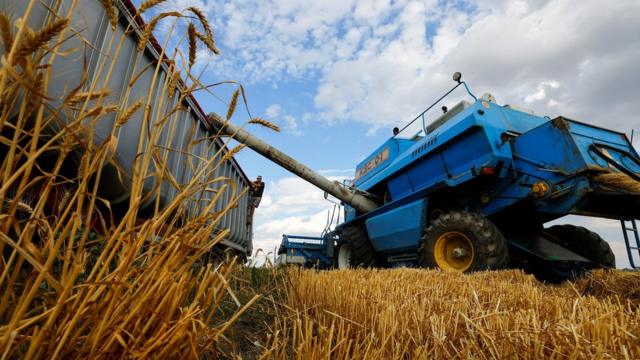 乌克兰亲俄分子控制地区赫尔松穆济基夫卡村一片麦田里收割机在采收小麦（26/7/2022）