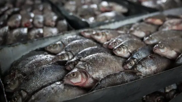 现在，阿拉尔斯克当地居民捕一次鱼能卖约110英镑（相等于140美元）