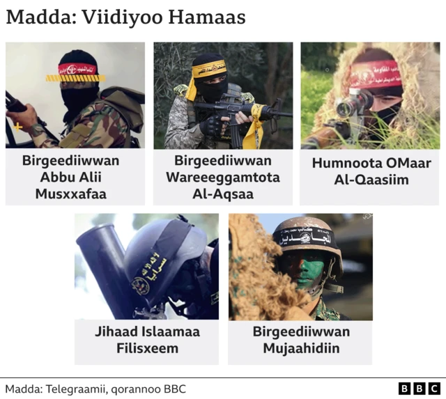 Gareewwan shan hiraachuuf ragaa