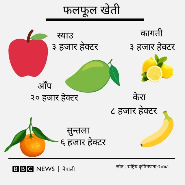 कृषिगणना 