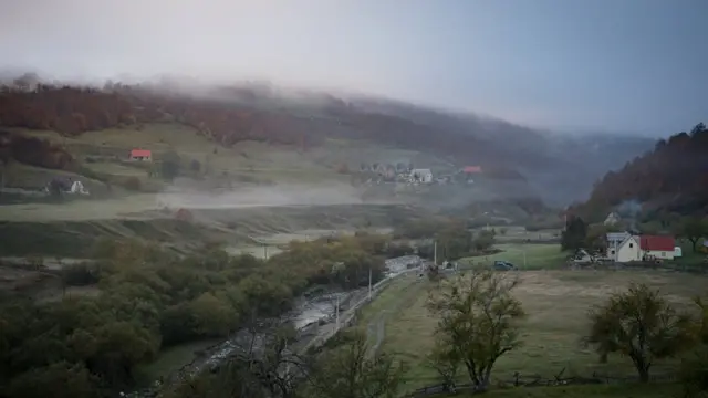 Tsaunin Misty 