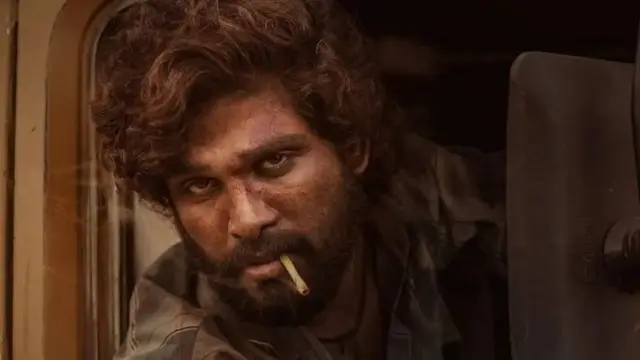 اللو ارجن نے پشپا کی کامیابیوں سے شہرت کی نئی بلندیوں پر قدم رکھا ہے