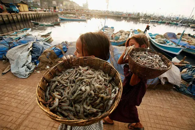 Two young girls carry shrimps in baskets on a jetty in Ratnagiri, India