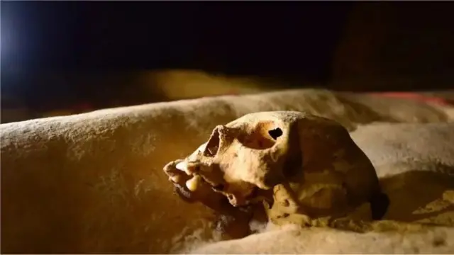 Belize Tourism Board
