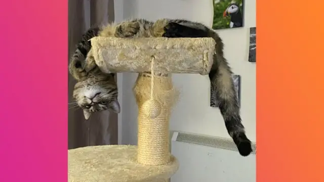 ‘ከም ድላየይ… ኣነ ከምድላየይ…’ 