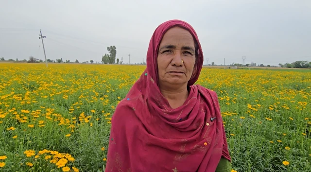 ਸੁਖਵਿੰਦਰ ਕੌਰ