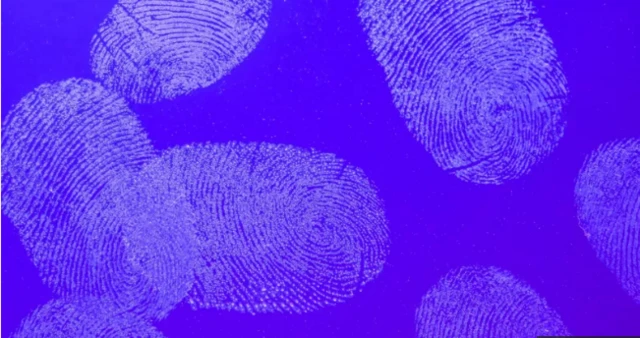 ਉਂਗਲਾਂ ਦੇ ਨਿਸ਼ਾਨ