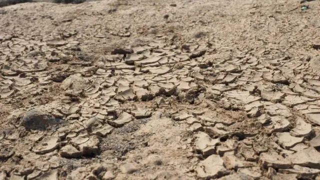 با گرمتر شدن هوا خشکسالی بسیاری از مناطق جهان را تحت تاثیر قرار داده است