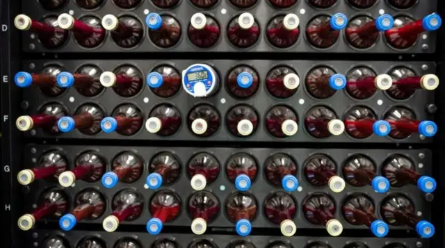 ਬਲੱਡ ਬੈਂਕ