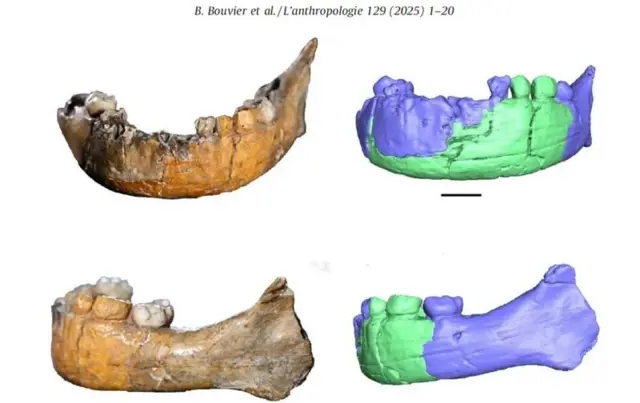 லேபெடோ குழந்தை,  கார்மல் மலை, குழந்தை ஸ்குல் I, குகை, மிகப் பழமையான கல்லறை