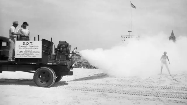 Une image historique montre des amoureux de la plage en train de se faire asperger de DDT, un pesticide dont on sait aujourd'hui qu'il est toxique pour l'homme