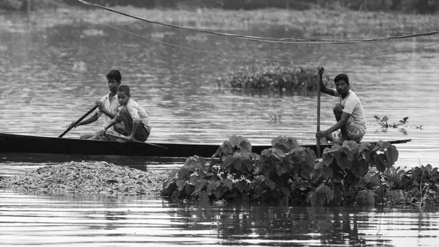 असम, बाढ़