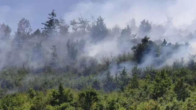 Azərtac Hirkan Mİlli Parkı