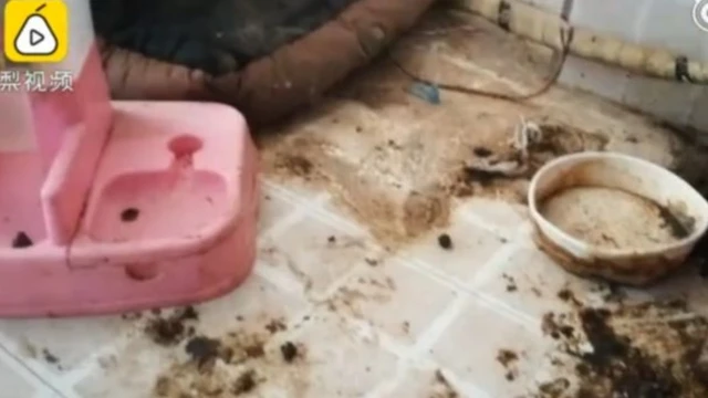 Okan lara yara Arewa kan