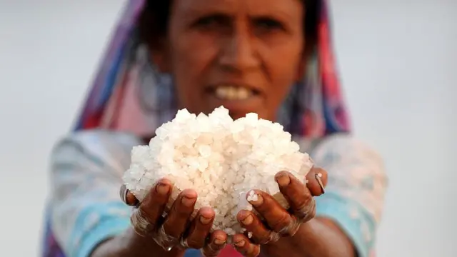 கச் பாலைவனம், குஜராத்